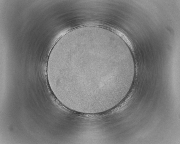 X0000115020954200912071024