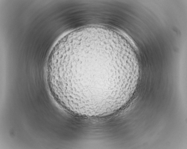 X0000115020955200912071024