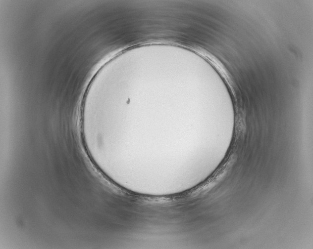 X0000115020957200912071024