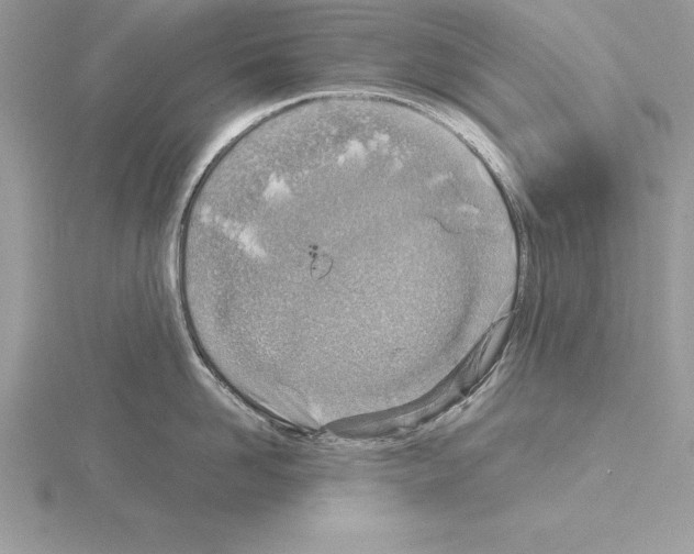 X0000115020958200912071024