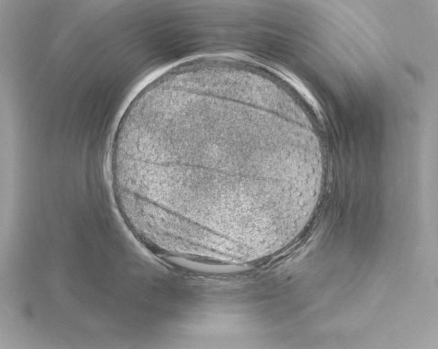 X0000115020959200912071025