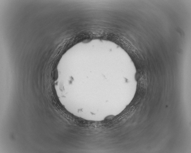 X0000115020961200912071024