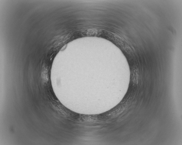 X0000115020962200912071024