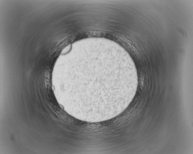 X0000115020964200912071024