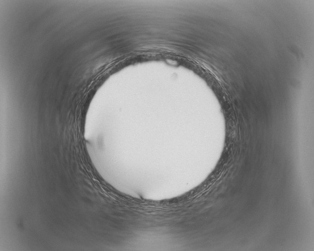 X0000115020965200912071024