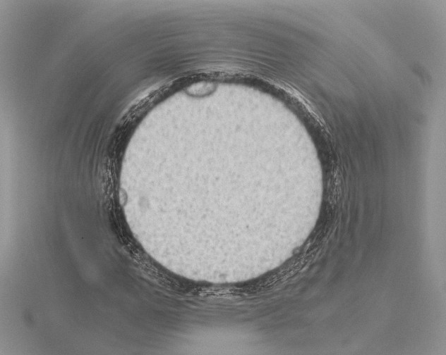 X0000115020967200912071024