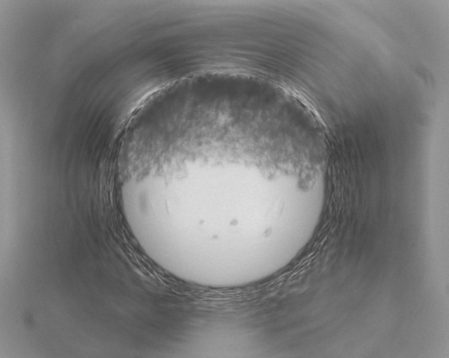 X0000115020968200912071024