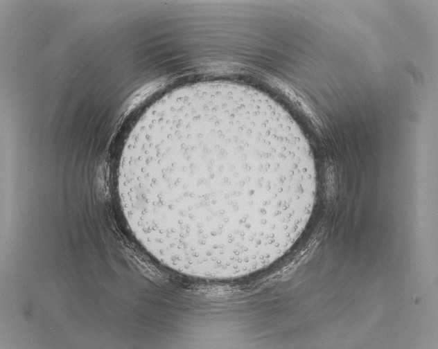 X0000115020970200912071024