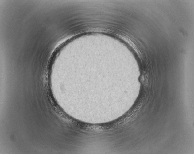 X0000115020971200912071024