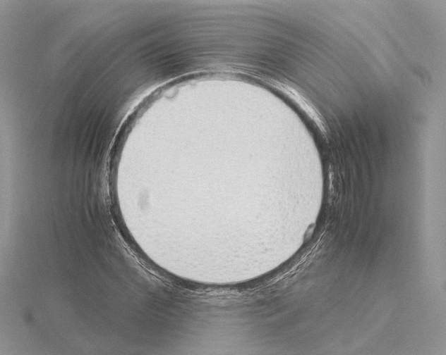 X0000115020972200912071024