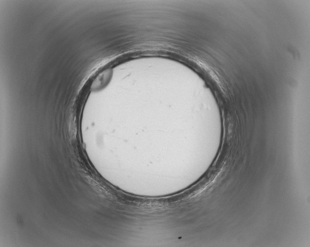 X0000115020973200912071024