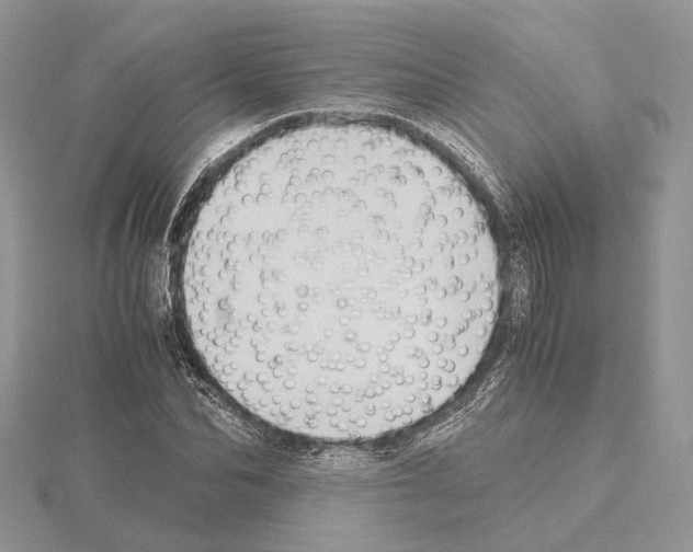 X0000115020974200912071024