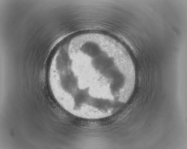 X0000115020975200912071024