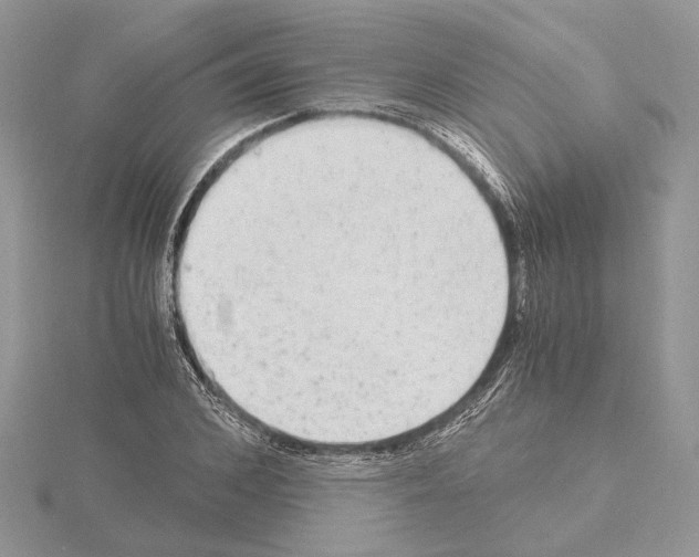 X0000115020976200912071024