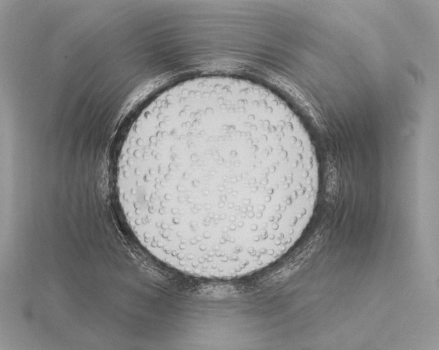 X0000115020978200912071024