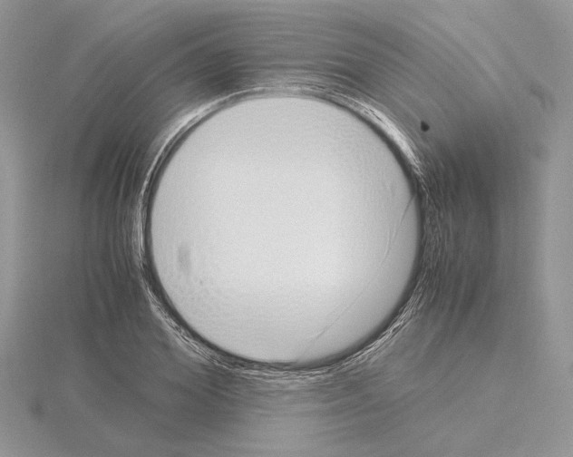 X0000115020980200912071024