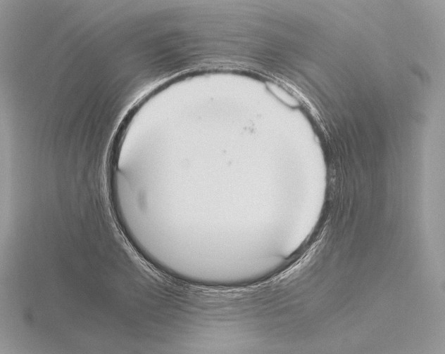 X0000115020981200912071024