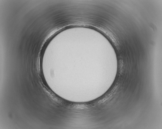 X0000115020982200912071024