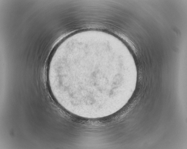 X0000115020983200912071024