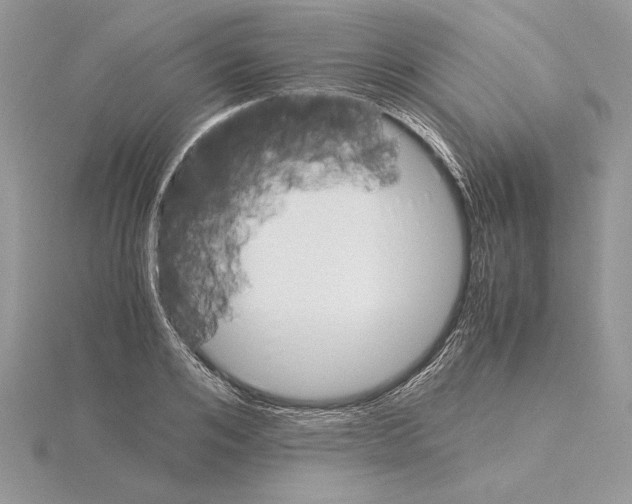 X0000115020984200912071024