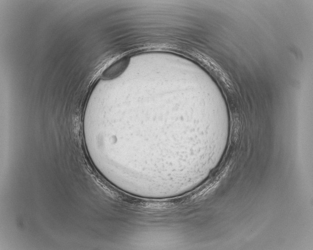 X0000115020985200912071024