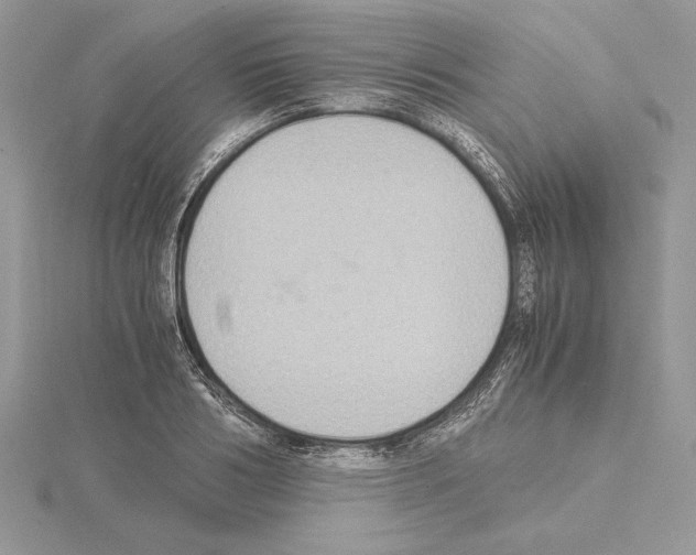 X0000115020986200912071024