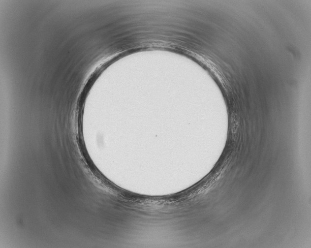 X0000115020987200912071024