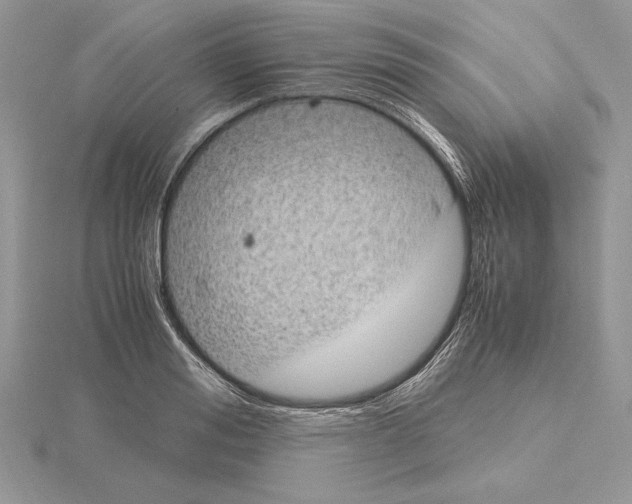 X0000115020988200912071024