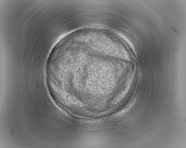 X0000115020989200912071024