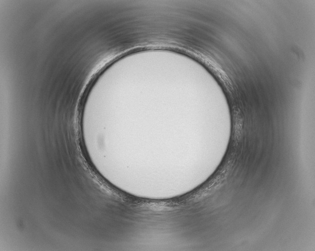 X0000115020990200912071024