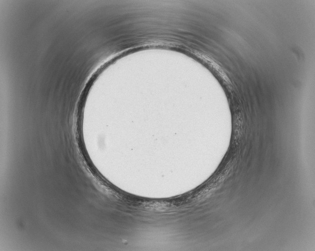 X0000115020991200912071024