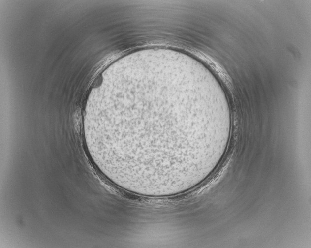 X0000115020993200912071023