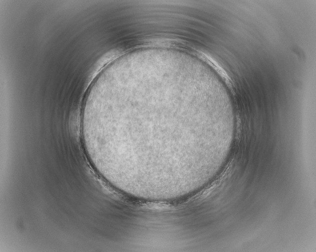 X0000115020994200912071023