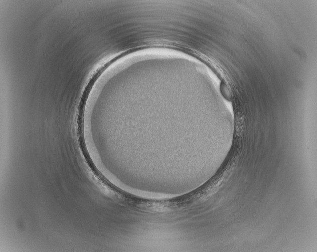 X0000115020995200912071023