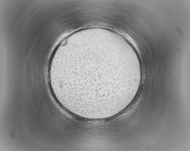 X0000115020997200912071023