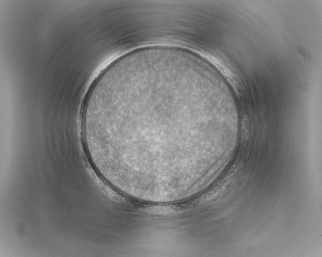 X0000115020998200912071023