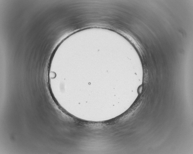 X0000115020999200912071023