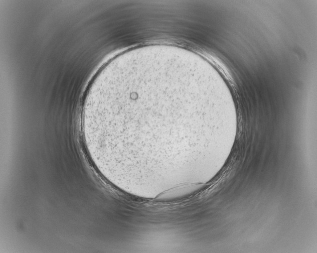 X0000115021000200912071023