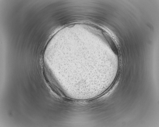 X0000115021001200912071023