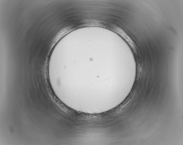 X0000115021002200912071023