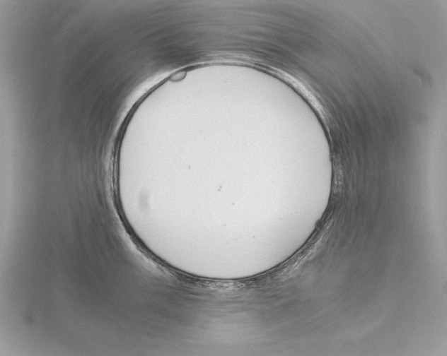 X0000115021003200912071023