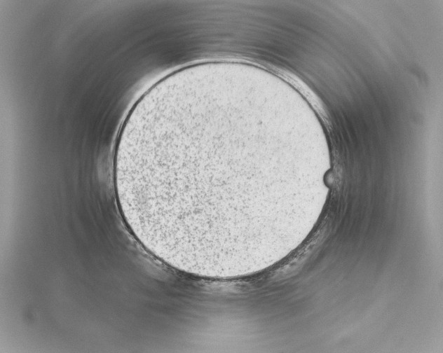 X0000115021004200912071023