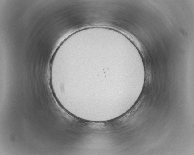 X0000115021006200912071023