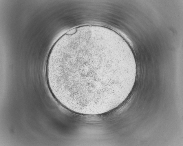 X0000115021007200912071023