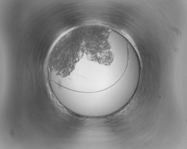 X0000115021008200912071023