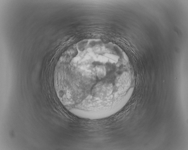 X0000115021009200912071023