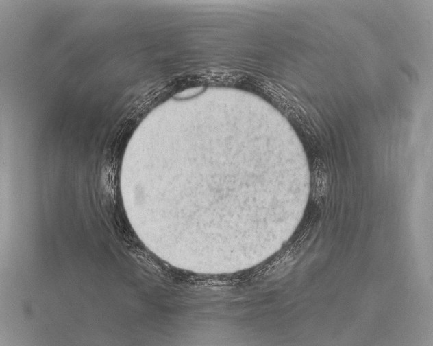 X0000115021010200912071023