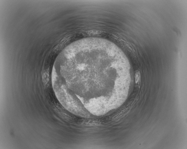 X0000115021011200912071023