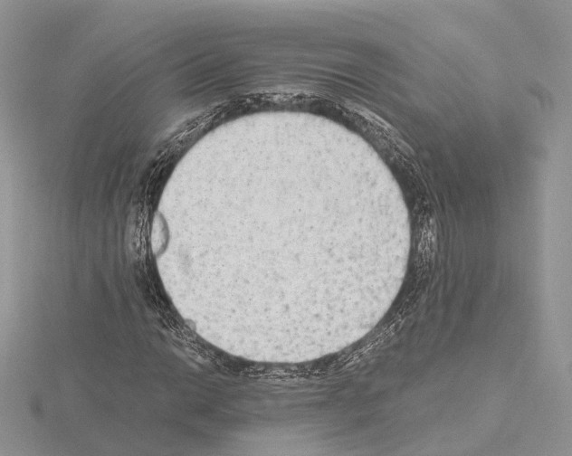 X0000115021014200912071023