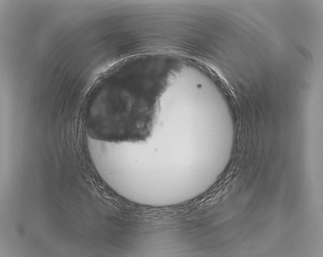 X0000115021016200912071023